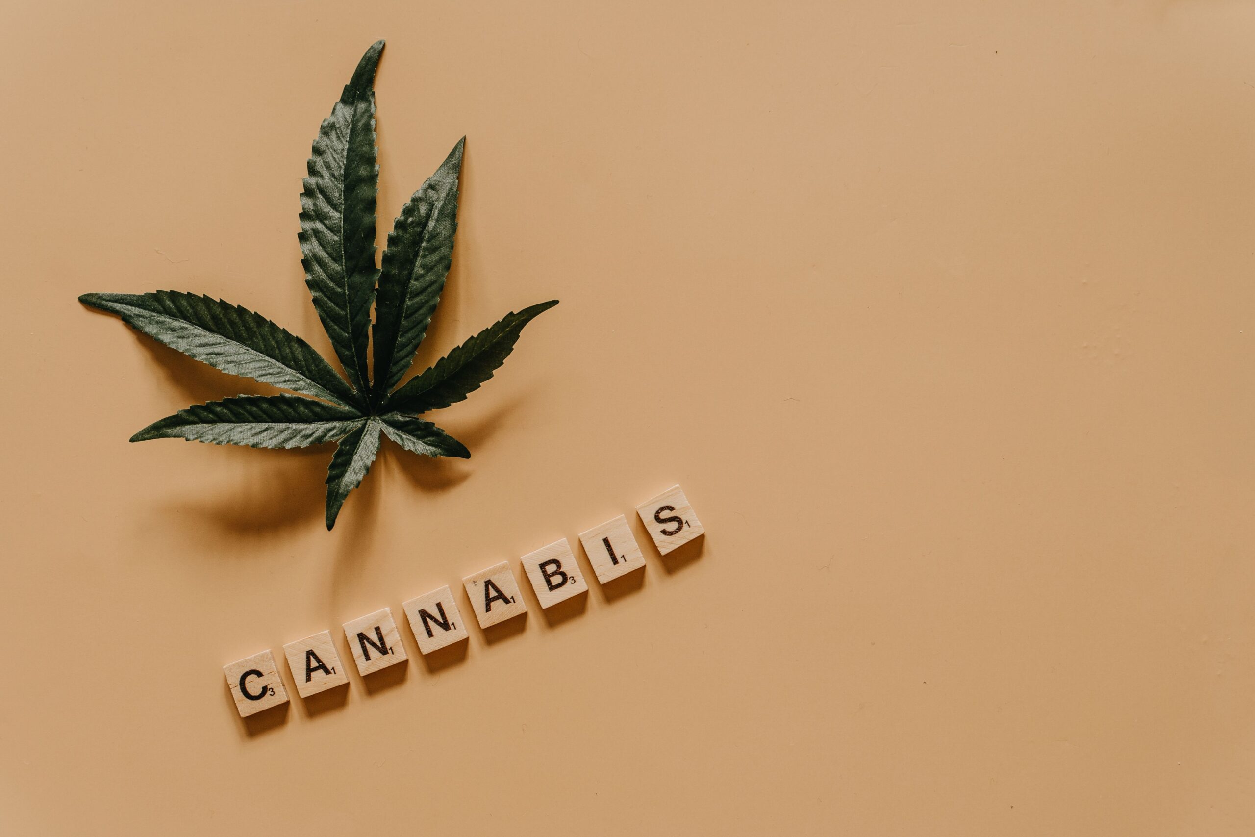 Cannabis Law